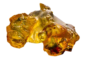 P Concentrate