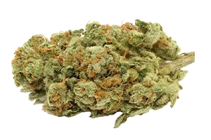 P Flower